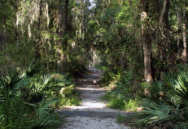 Path to long branch trail